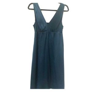 The Limited Silk Dress Size 4